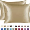 Satin Pillow Case With Zipper - Luxury Pillow Cover (Pillowcase Set Of 2) Champagne