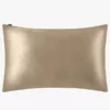 LILYSILK 100% Silk Pillowcase, 19 Momme, 1 Piece Taupe