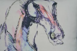 Bed Linings Sales 2024 -Bed Linings Sales 2024 a3c6a0f5cae945e7ac9bcfccb65c8860