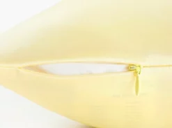 LILYSILK 100% Silk Pillowcase, 19 Momme, 1 Piece Gold 8 LILYSILK 100% Silk Pillowcase, 19 Momme, 1 Piece Gold -Bed Linings Sales 2024 c2f74178d92f41ae847eee8a15e485ec